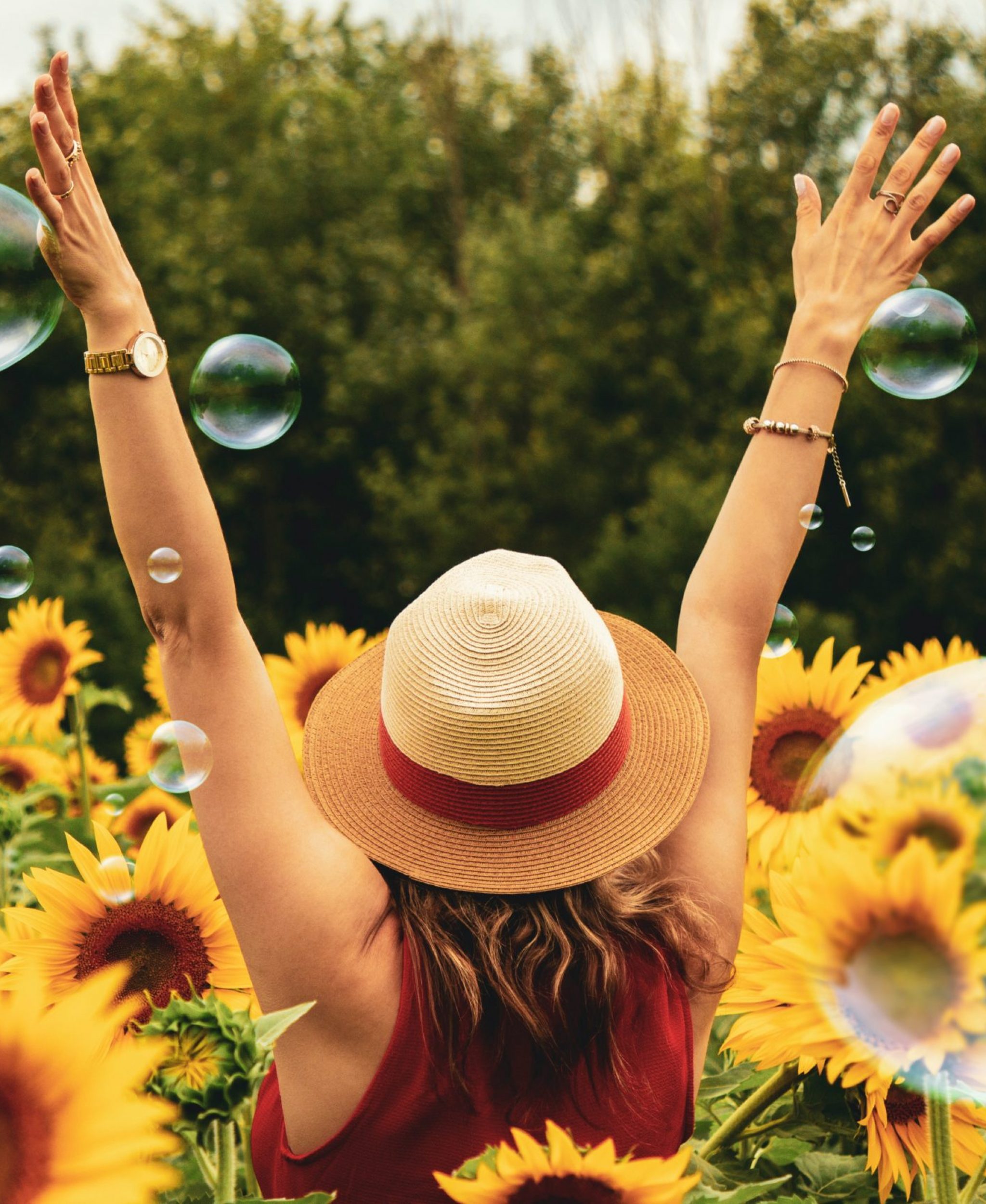 photography-of-woman-surrounded-by-sunflowers-1263986